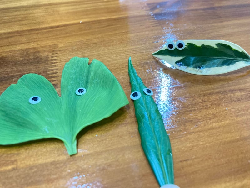 葉っぱ遊び